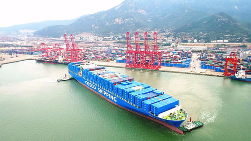 中远海运港口发行约6276.88万股代息股份